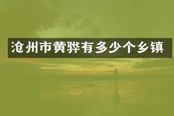 沧州市黄骅有多少个乡镇