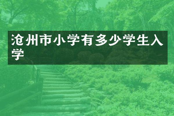 沧州市小学有多少学生入学