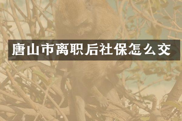 唐山市离职后社保怎么交