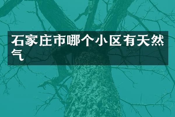 石家庄市哪个小区有天然气