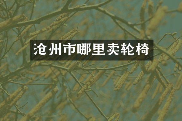 沧州市哪里卖轮椅
