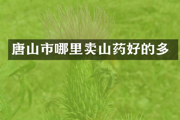 唐山市哪里卖山药好的多