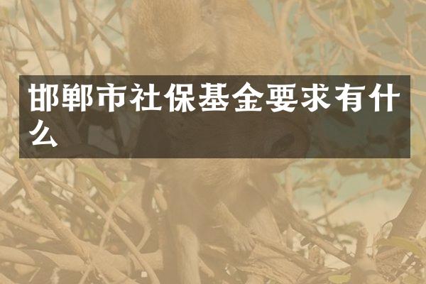 邯郸市社保基金要求有什么