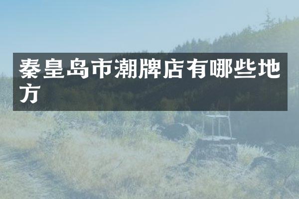 秦皇岛市潮牌店有哪些地方