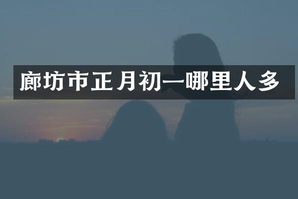 廊坊市正月初一哪里人多
