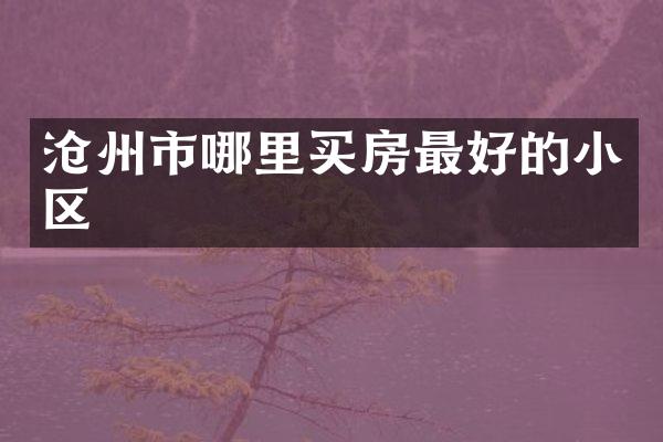 沧州市哪里买房最好的小区