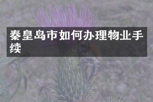 秦皇岛市如何办理物业手续