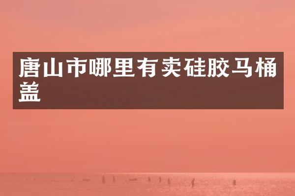 唐山市哪里有卖硅胶马桶盖
