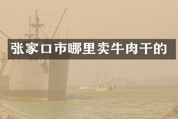 张家口市哪里卖牛肉干的