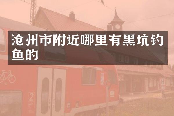 沧州市附近哪里有黑坑钓鱼的