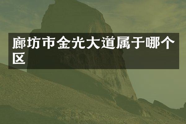 廊坊市金光大道属于哪个区