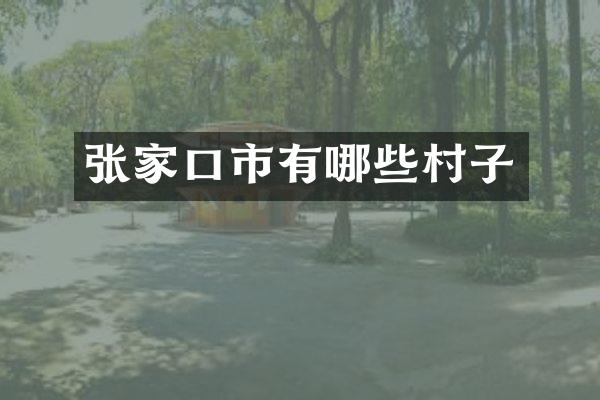 张家口市有哪些村子