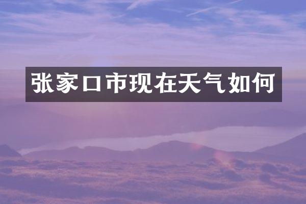 张家口市现在天气如何