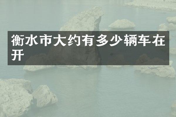 衡水市大约有多少辆车在开