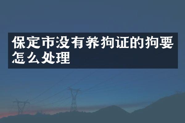保定市没有养狗证的狗要怎么处理