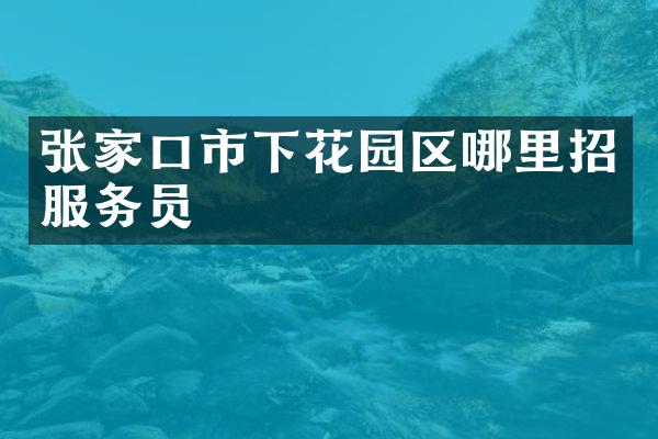 张家口市下花园区哪里招服务员