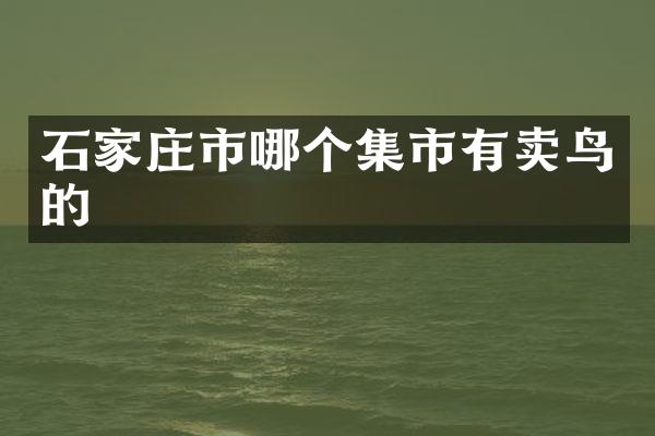 石家庄市哪个集市有卖鸟的