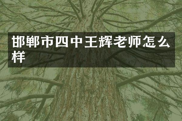 邯郸市四中王辉老师怎么样