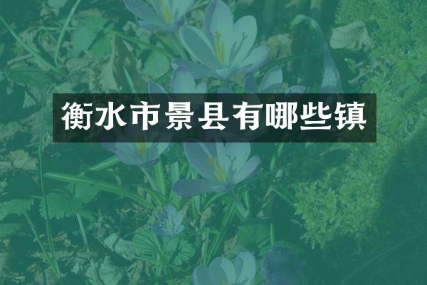 衡水市景县有哪些镇