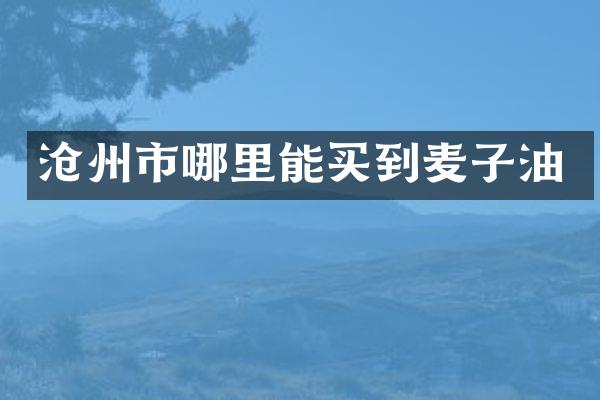 沧州市麦子油