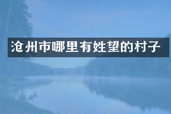 沧州市哪里有姓望的村子