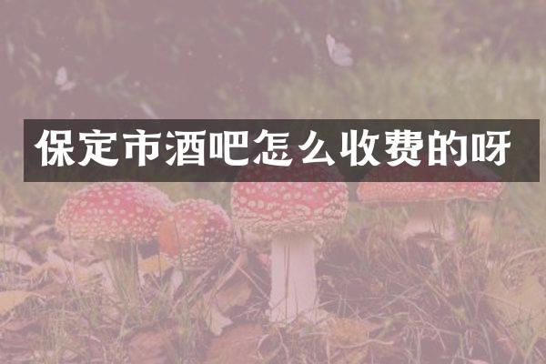 保定市酒吧怎么收费的呀
