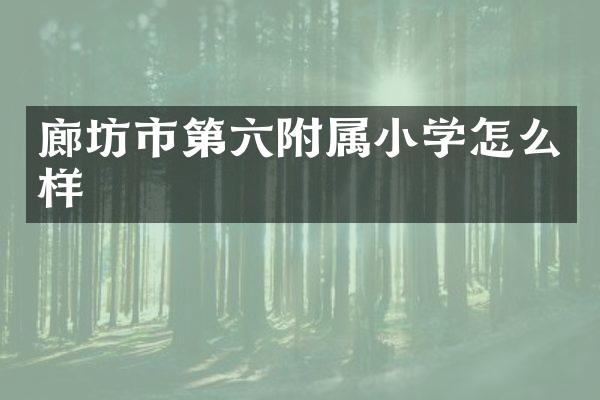 廊坊市第六附属小学怎么样