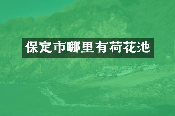 保定市哪里有荷花池