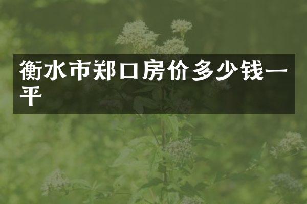 衡水市郑口房价多少钱一平