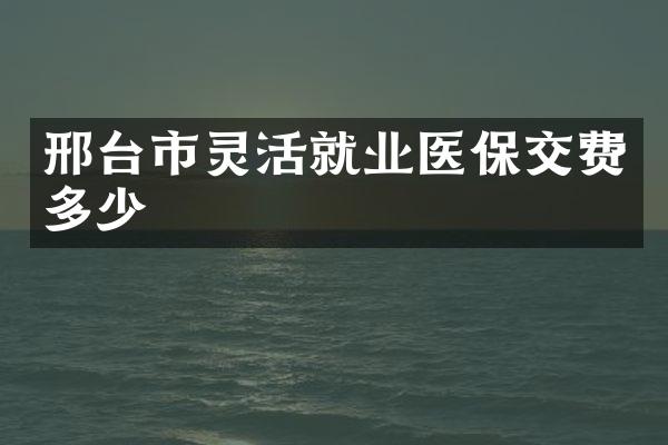 邢台市灵活就业医保交费多少