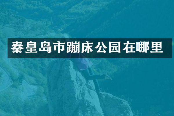 秦皇岛市蹦床公园在哪里