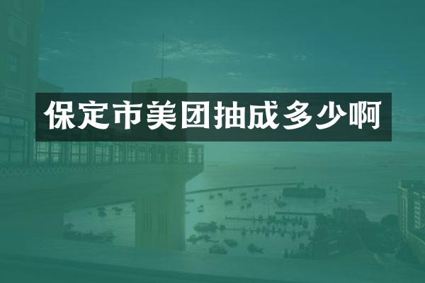 保定市美团抽成多少啊