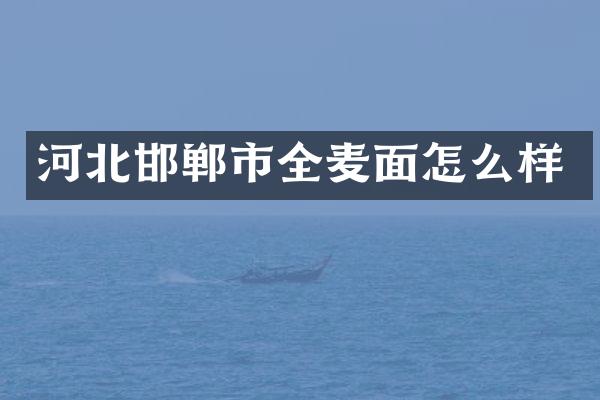 河北邯郸市全麦面怎么样