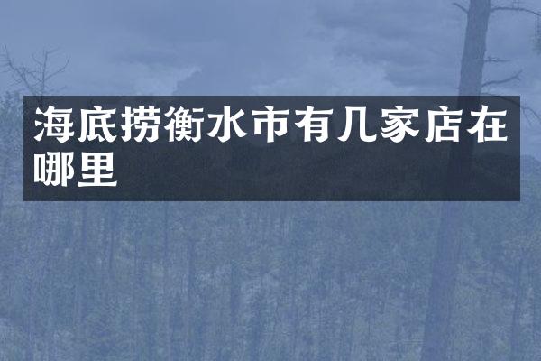 海底捞衡水市有几家店在哪里