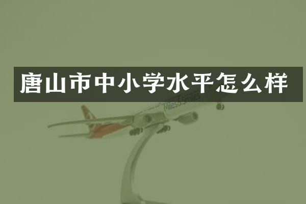 唐山市中小学水平怎么样