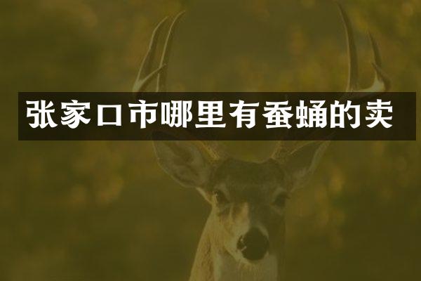 张家口市哪里有蚕蛹的卖