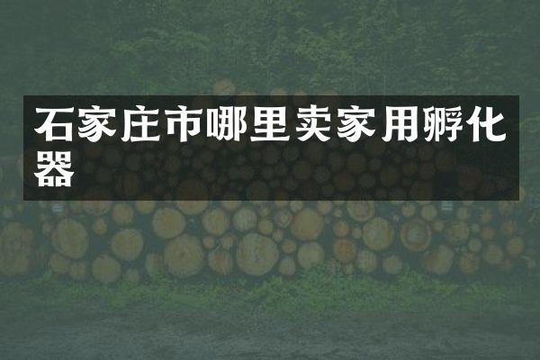 石家庄市哪里卖家用孵化器