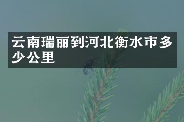 云南瑞丽到河北衡水市多少公里