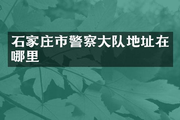 石家庄市警察大队地址在哪里