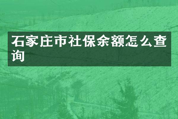 石家庄市社保余额怎么查询