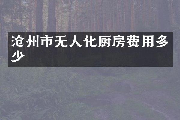 沧州市无人化厨房费用多少