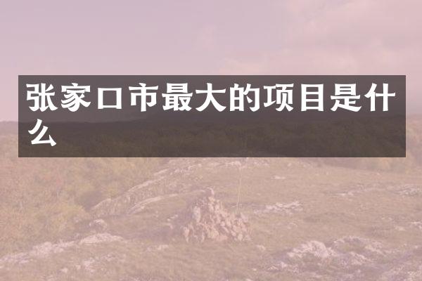 张家口市最大的项目是什么