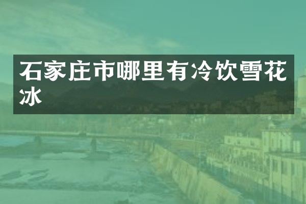 石家庄市哪里有冷饮雪花冰