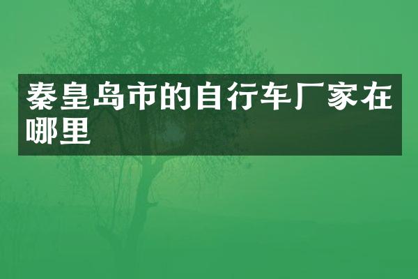 秦皇岛市的自行车厂家在哪里