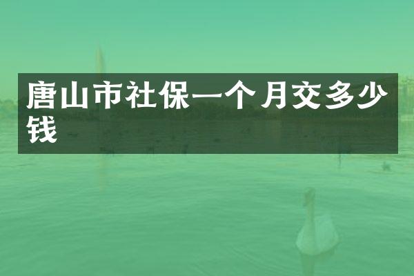 唐山市社保一个月交多少钱