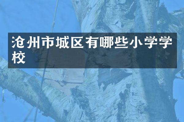 沧州市城区有哪些小学学校