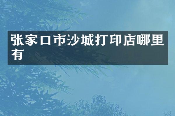 张家口市沙城打印店哪里有