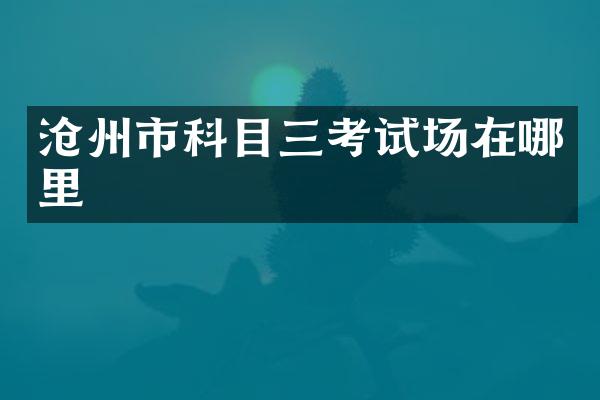 沧州市科目三考试场在哪里
