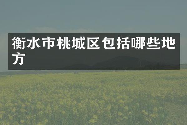 衡水市桃城区包括哪些地方
