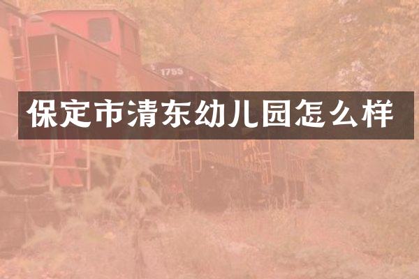 保定市清东幼儿园怎么样